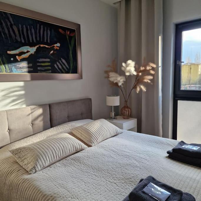 Apartament Nad Struga, Klimatyzacja, Parking,Taras Stary Toruń Exteriör bild